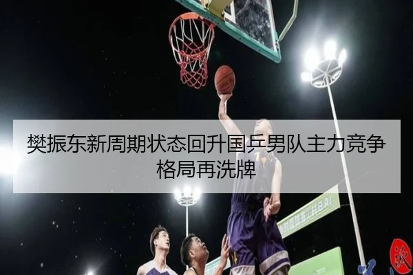樊振东新周期状态回升国乒男队主力竞争格局再洗牌